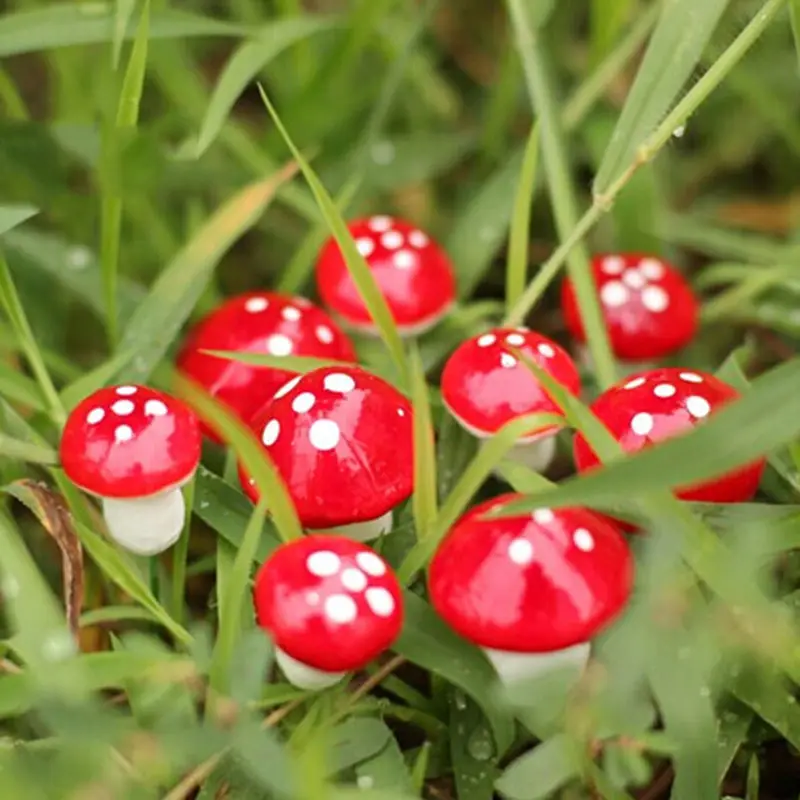20 PCS/monte Mini Cogumelo Vermelho Ornamento de Jardim em Miniatura Vasos de Plantas de Fadas DIY Casa de bonecas Imagem 1