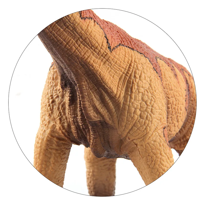 Grande Jurássica Dinossauro Simulação de Brinquedo Rhamphorhynchus PVC Macio Figuras Pintadas à Mão Modelo Animal de Recolha de Brinquedos para Crianças de Presente Imagem 3