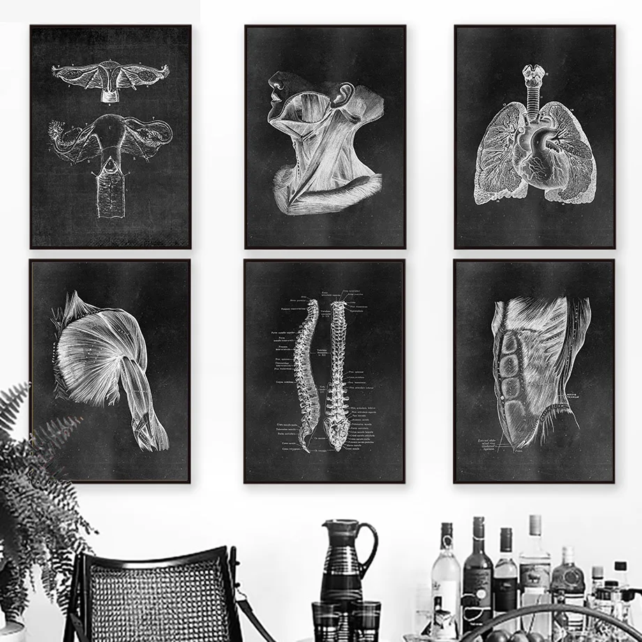 O Músculo Do Pé Do Osso Coração Anatomia Do Esqueleto Arte De Parede De Lona Da Pintura Nórdica Pôsteres E Impressões De Parede Imagens Para O Médico Decoração De Escritório Imagem 1