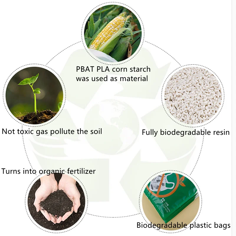StoBag 20pcs Biodegradável, Transparente, Embalagem de Alimentos a Vácuo Saco Organizador da Eco Máquina de Selagem de Doces de Nozes Casa Personalizada Atacado Imagem 4