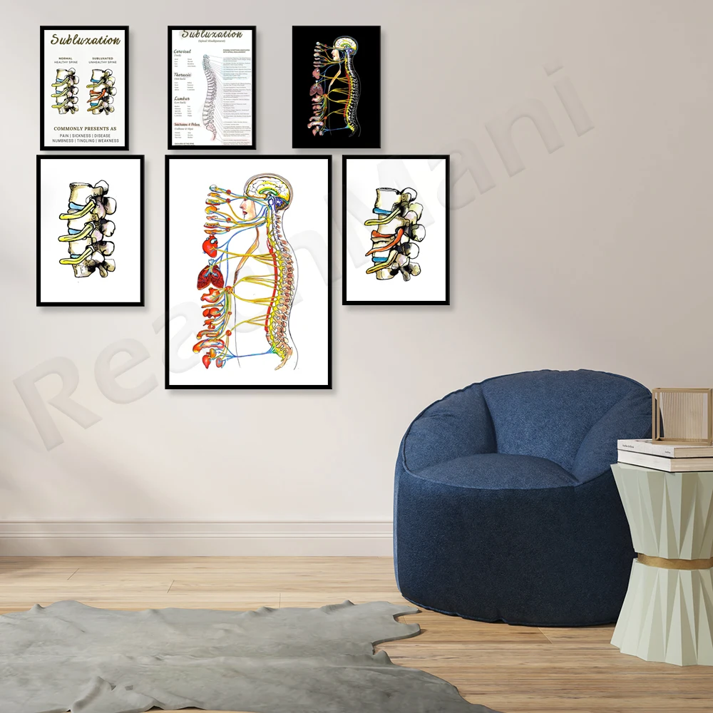 Subluxação vertebral cartaz, sistema nervoso autônomo, cartaz, coluna vertebral ANS diagrama, quiropraxia office cartaz, tensão de nervo, chiropr Imagem 2