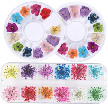1 Caixa 3D de Flores Secas da Arte do Prego Decorações Misto Flor Seca Natural Floral Adesivo de Unhas DIY Decalques UV Gel Polish Ferramentas de Manicure 1