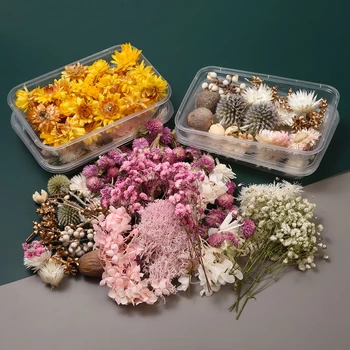 1 Caixa de Real Flores Secas Naturais Colorido Planta DIY Foto Materiais de Presente de Aniversário Acessórios Tornando a Festa de Casamento Decoração