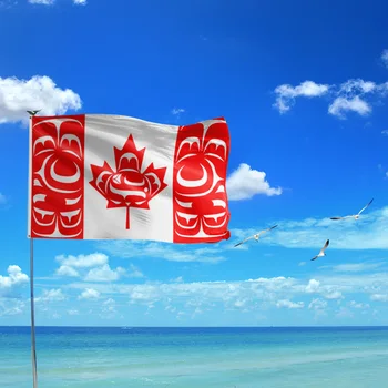 3 X 5 Pés Canadense Indígenas Bandeira Canadense Lembranças De Poliéster Grosso Nativo Canadense Bandeiras Com Ilhós De Latão Para Os Nativos