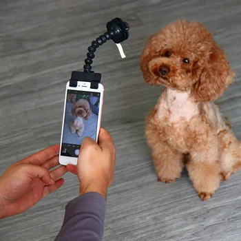 Animal de estimação Selfie Stick para Cães Gato ferramentas de fotografia animal de Estimação Interação Brinquedos Concentrado de Formação de Suprimentos Acessórios para Cães Drop Shipping