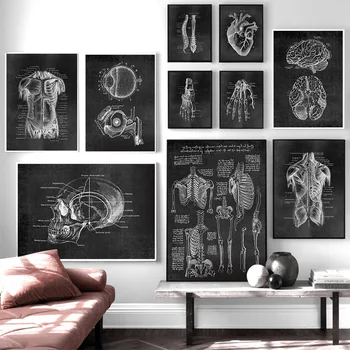 O Músculo Do Pé Do Osso Coração Anatomia Do Esqueleto Arte De Parede De Lona Da Pintura Nórdica Pôsteres E Impressões De Parede Imagens Para O Médico Decoração De Escritório