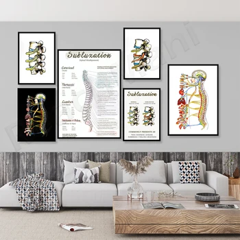 Subluxação vertebral cartaz, sistema nervoso autônomo, cartaz, coluna vertebral ANS diagrama, quiropraxia office cartaz, tensão de nervo, chiropr