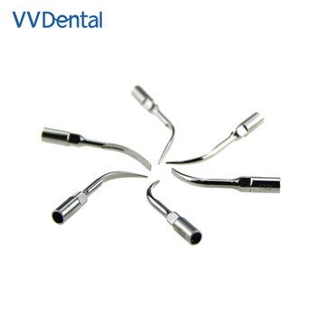 VV Dental Loja de Tomada de Atuador Ultra-sônico Sugestão de Dimensionamento de Periodontia Endodontia Ajuste EMS Pica-pau G1 G2 G3 G4 G5 G6 P1